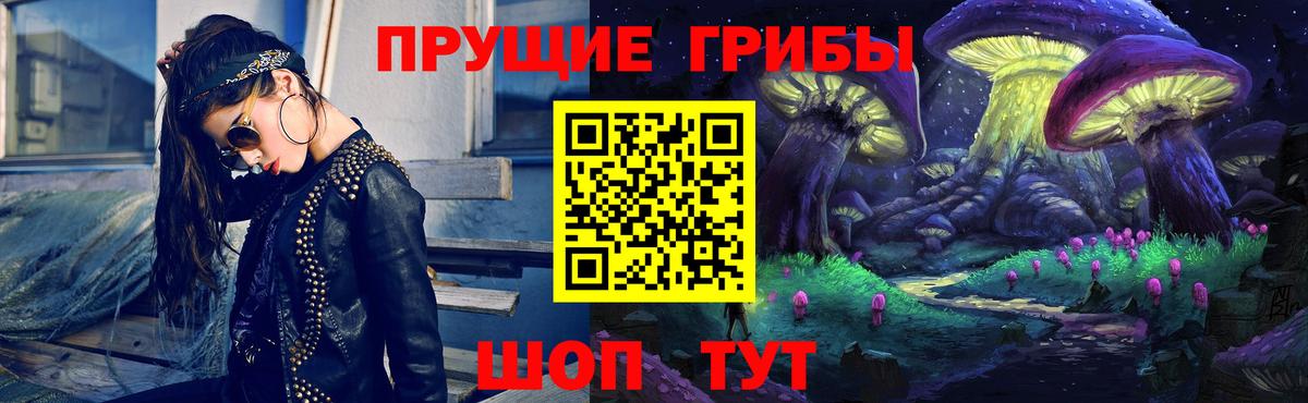 Гусев  Псилоцибиновые грибы GOLDEN TEACHER  Вход с VPN 