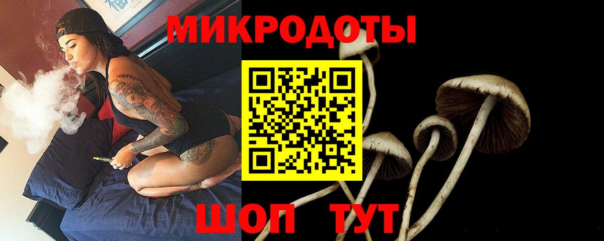 Галлюциногенные грибы Cubensis Гусев