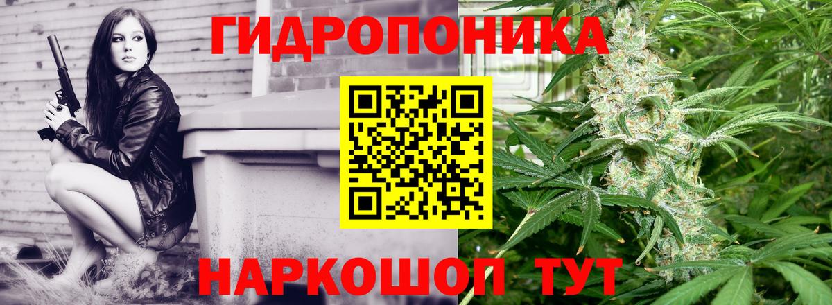 Шишки марихуана план  Вход с VPN  Бошки марихуана ГИДРОПОН  Гусев  МАРИХУАНА Bruce Banner  Канабис конопля 